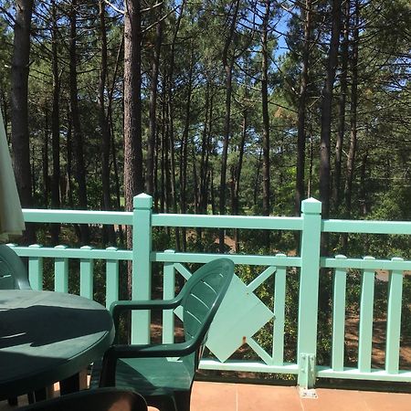 Apt T2 Calme Sur Golf, Piscine, Ocean 10 Min En Velo Лакано Екстер'єр фото
