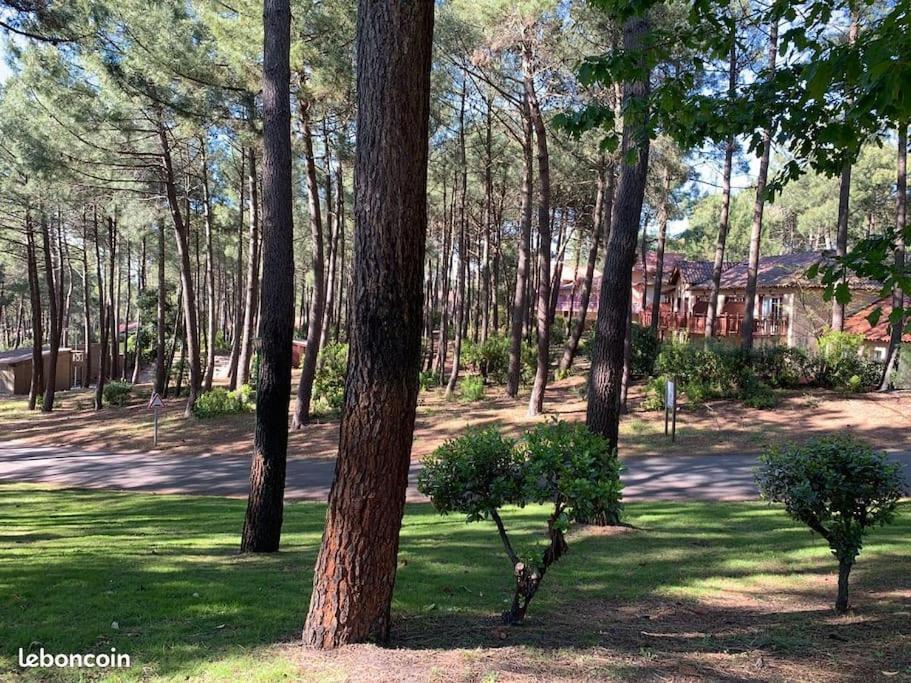 Apt T2 Calme Sur Golf, Piscine, Ocean 10 Min En Velo Лакано Екстер'єр фото